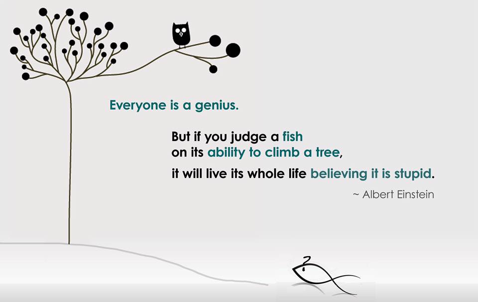 Are you a fish trying to climb a tree?