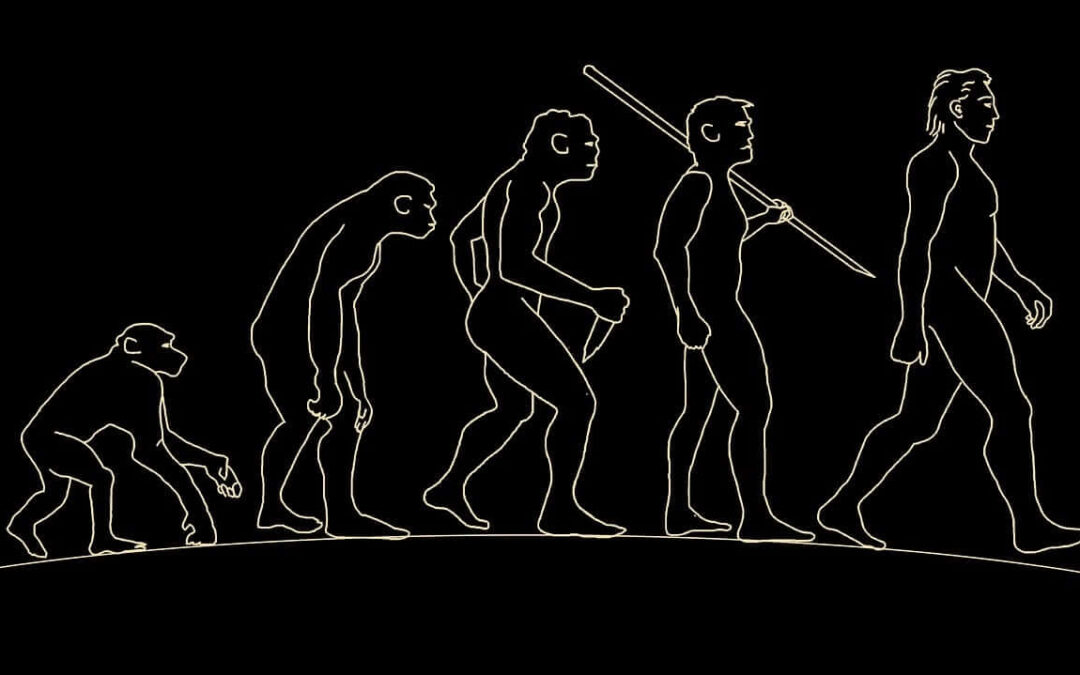 Evolutionary Leadership: the history of our behaviour and how it can help us
