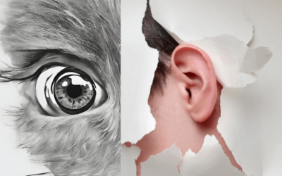 Eyes vs Ears: Which is better?