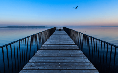 Bridging the Gap Between Expertise and Visibility: A Call for Coaches & Consultants