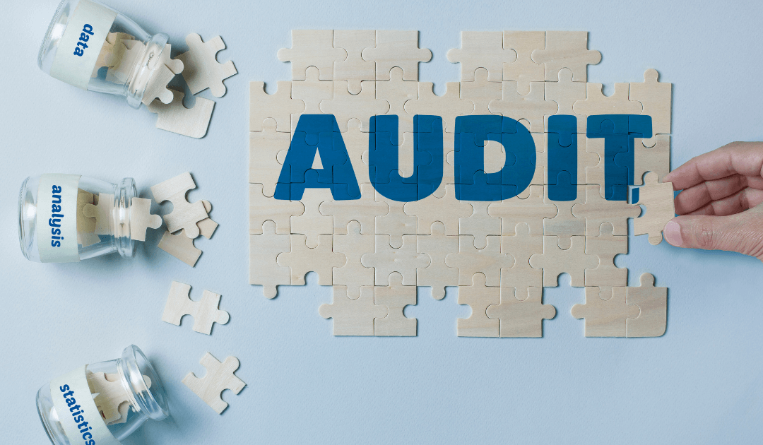 What My Business Audit Revealed (And How It May Help You Too)