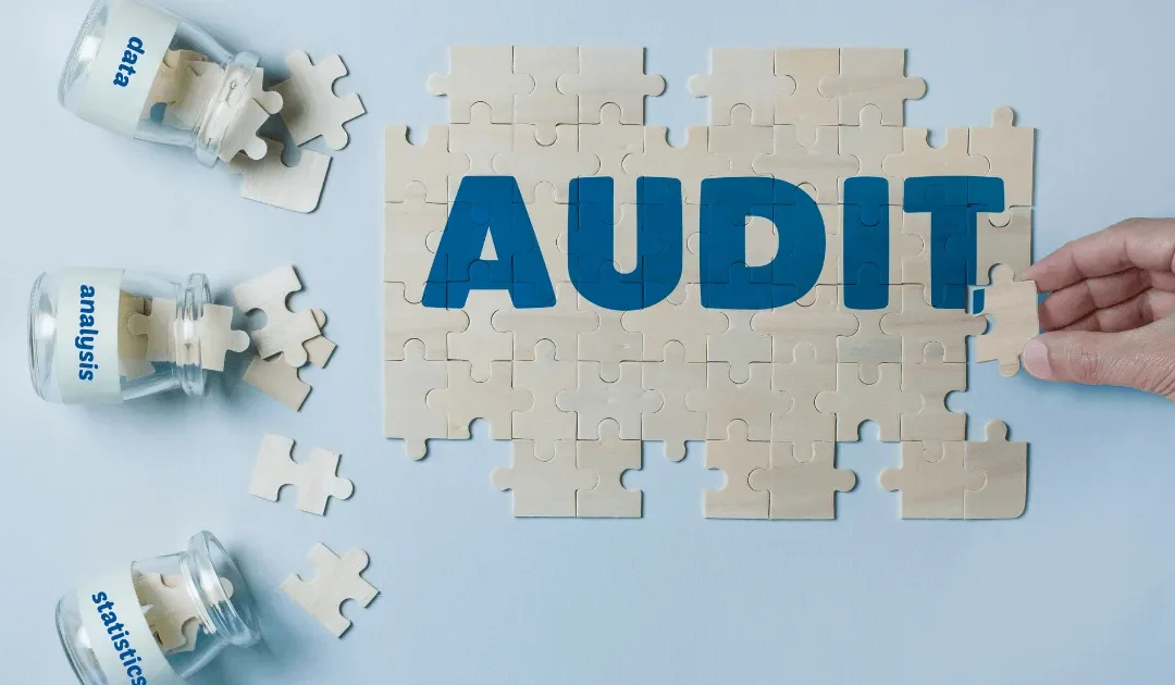 What My Business Audit Revealed (And How It May Help You Too)