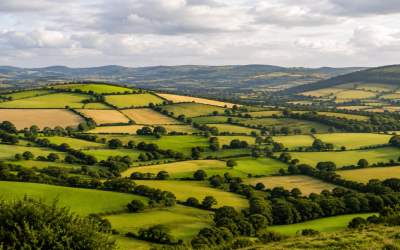 The Unseen Layer of Culture: The Stories Shaping Your Organisation Right Now