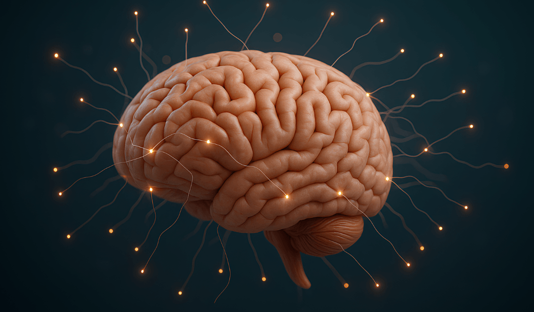 How Your Brain Turns Uncertainty Into Stories
