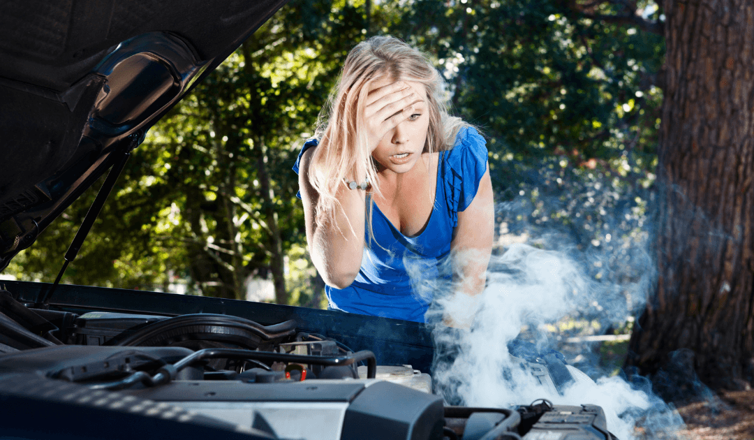 The High-Performer’s Wall: Why Smart Business Owners Stall (And How to Get Motoring Again)