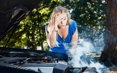 The High-Performer’s Wall: Why Smart Business Owners Stall (And How to Get Motoring Again)